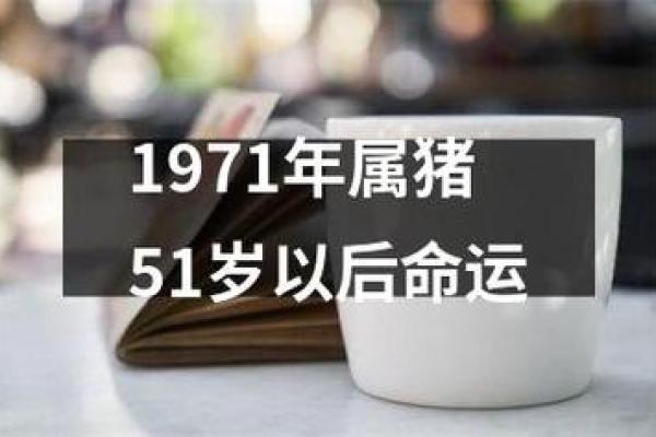 196年属猪的命运解析：揭秘猪年出生者的性格与命理