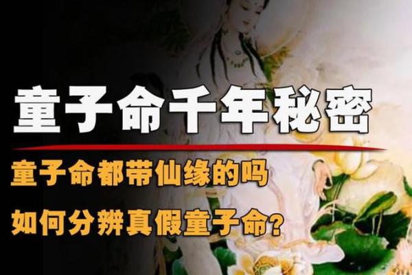 非童子命：探秘命理中的传说与现实