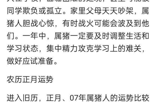 揭密2003年出生的人生命运与性格特征