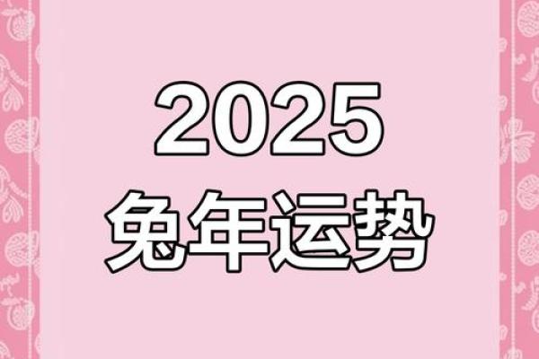 22岁生肖兔的命运解析：如何把握青春与机会