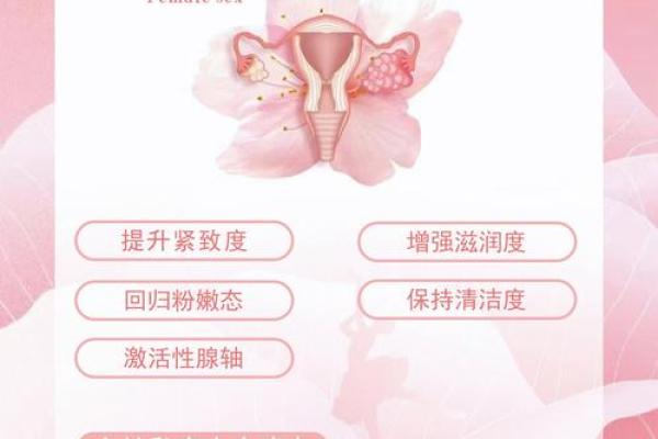 女人坤命：探索女性命理的深意与魅力