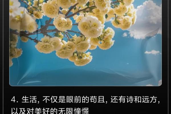 平凡如常命格：在平淡中发现生活的美好与意义