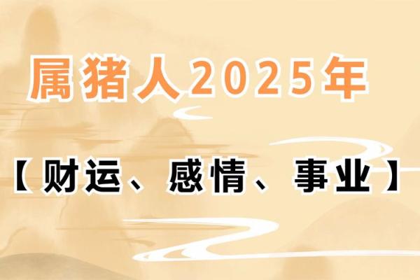 生肖属猪的人在2019年的命运分析，财富与事业双丰收！