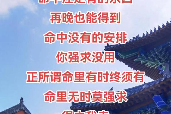 命什么盖什么：以命运为线索，塑造精彩人生之旅