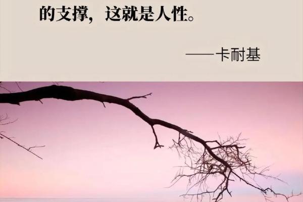 22岁属什么命：探讨命理与人生的精彩交织