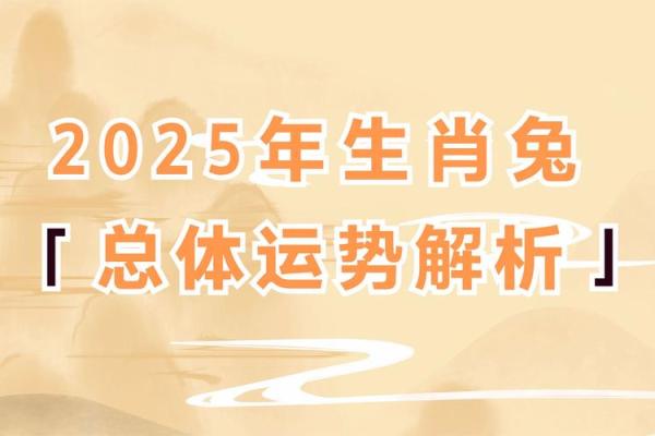 2034年兔年命理解析：属兔者的运势与生活启示