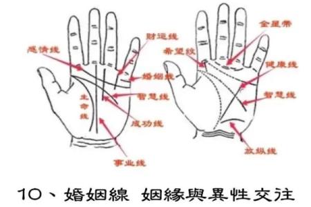 九种手相解析：揭示你的命运与性格奥秘!