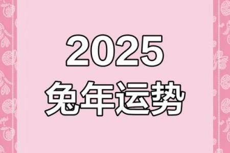 22岁生肖兔的命运解析：如何把握青春与机会