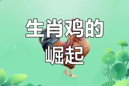 揭秘八零年属鸡人的命运与人生发展之道