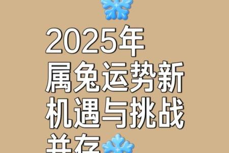 2023年兔命解析：兔年运势与生活指导，迎接幸运与机遇的时刻！