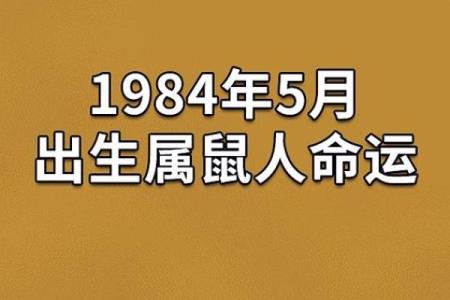 1984年属鼠年人的命理解析与生活智慧