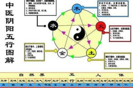 探索五行之道：木命、水命与火命的相生相克关系