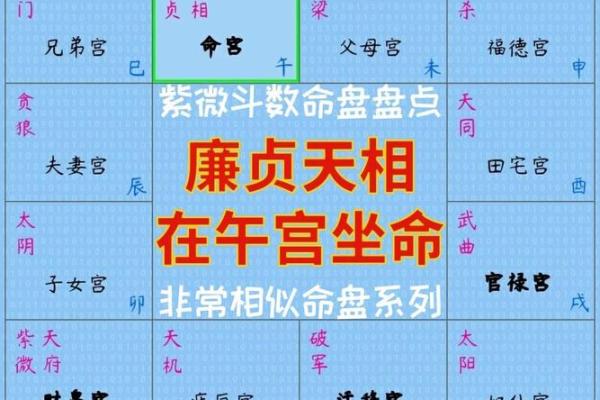 1984年女性命格解析：揭示命运背后的秘密与智慧