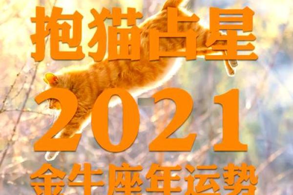 2021年小金牛的命运与机遇探析：生机勃勃的未来指南