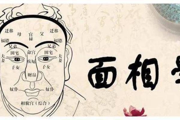 长得秀气的鼻子，命运如何？细说鼻相学的奥秘与人生机遇！