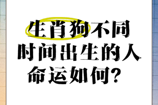 1970年狗年出生的人命运与性格解析