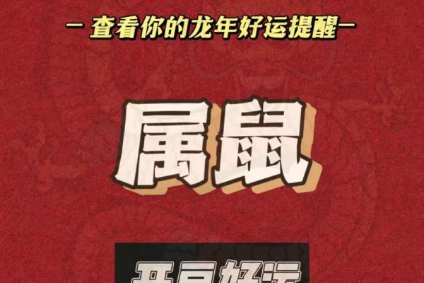 2024年属鼠人的命运解析：职场、感情与财富的全方位探讨