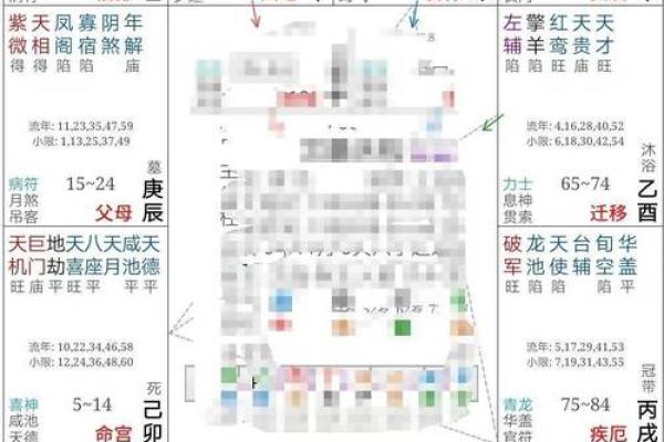 解析紫薇命盘：如何运用命理助力学历和事业发展