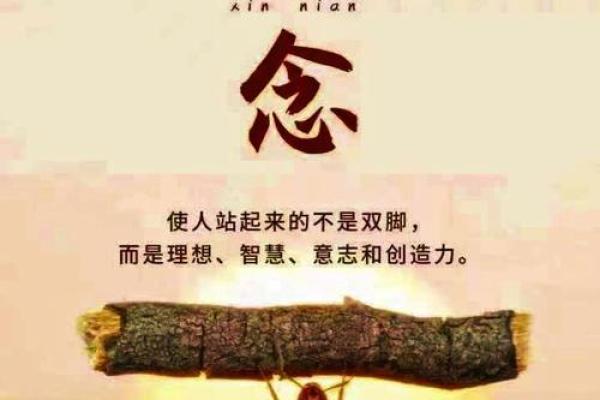 生命的转折：60岁后的人生新篇章与命运解析