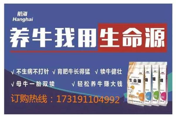 1943年出生的羊：命理解析与人生启示