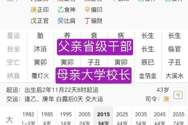 1982年出生的人命运解析：命理与性格的深度剖析