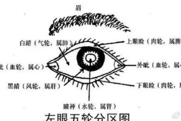 塌鼻梁与命运之说：深扒命运与外貌之间的关系