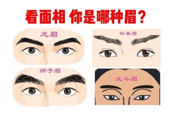 眉毛重眼睛小的命运解析：从面相看人生轨迹