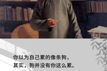 探索人生中的三种启示：委命、下吏与成长之道