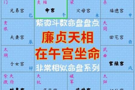 1984年女性命格解析：揭示命运背后的秘密与智慧