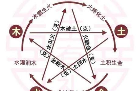 木命与数字克制的奥秘：探索五行的神秘关系