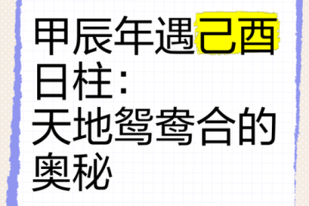 己酉年：探索命理的奥秘与人生的奇迹