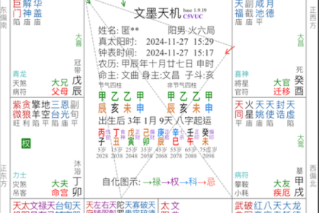 解析紫薇命盘：如何运用命理助力学历和事业发展