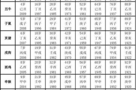 209年属牛的命理解析：智慧与毅力的结合