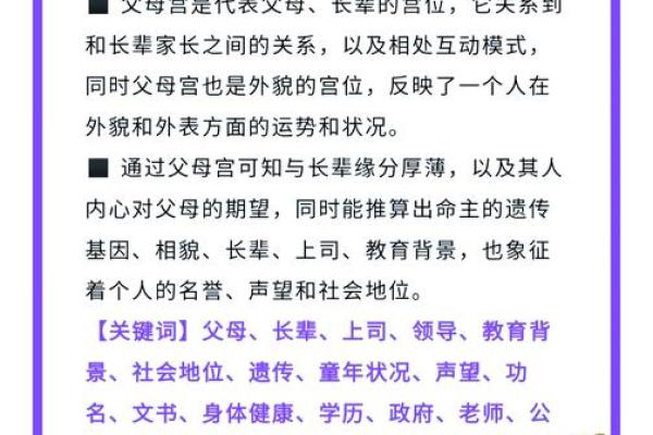 探索命盘解析：揭示人生的奥秘与可能性