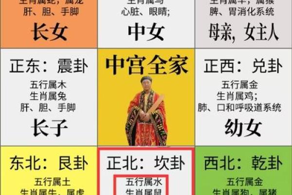 96年出生的鼠年命运解析：揭示人生的奥秘与智慧