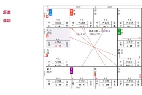 探索紫薇年命的奥秘：解读人生轨迹与命运密码