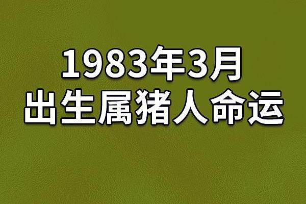 2008年属猪女性的命运与人生解析：走向辉煌的秘诀