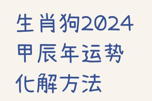 2006年属狗的命卦：细腻与智慧的结合，奋发向前！