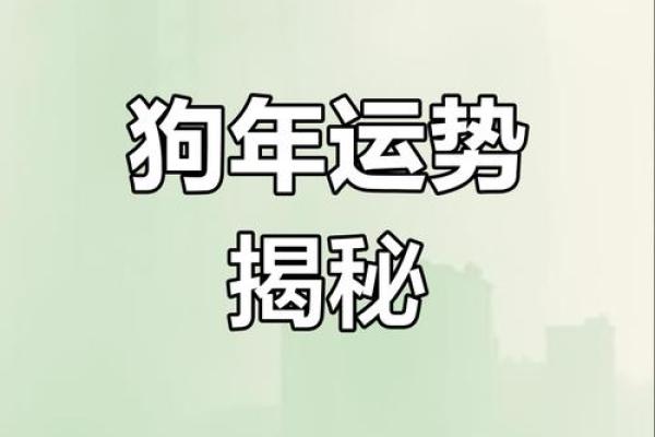 属狗人运势探秘：为何命运多舛的背后原因？