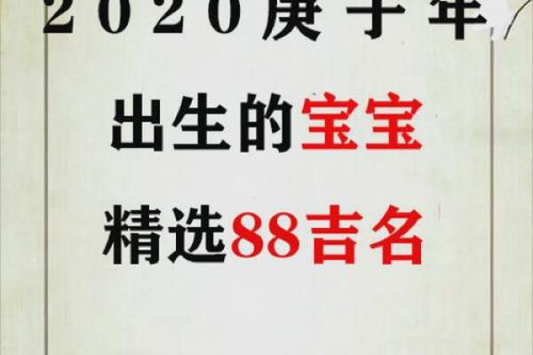 探寻鼠宝宝命理：哪个时辰助其成就辉煌人生？