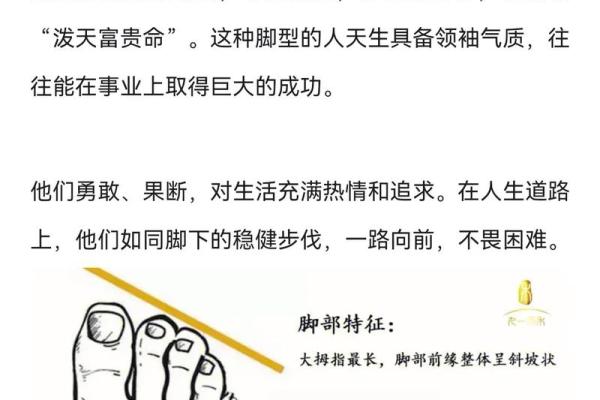 脚背高的人有什么命运？探索生活与运势的奥秘