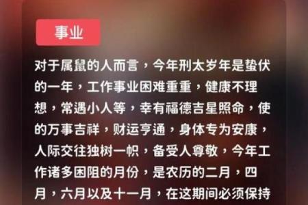 96年出生的鼠年命运解析：揭示人生的奥秘与智慧