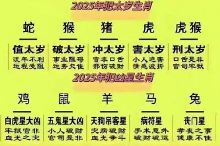 探秘虎年王子的生肖命格之路，解读神秘命理与性格魅力！