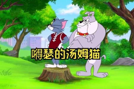 老鼠与猫的命运交响曲：一场生与死的追逐游戏