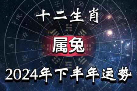 2023年兔年运势详解：遇见幸运与挑战的平衡之道