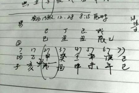 1994年正月22日出生者的命运与人生轨迹探索