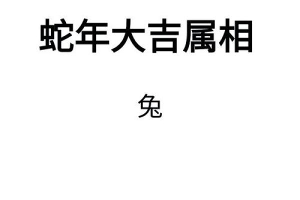 63岁属兔的人生哲学与命运分析