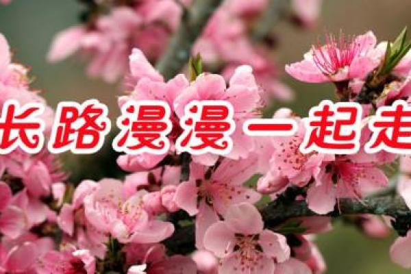 《命如桃花：一曲唤醒心灵的柔情旋律》