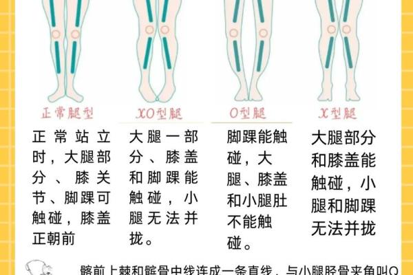 女生腿长身短的命运解析：如何自信走出自己的风格之路