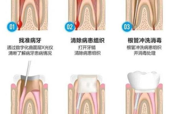 揭秘牙齿西的命运特征，深度解析性格与运势